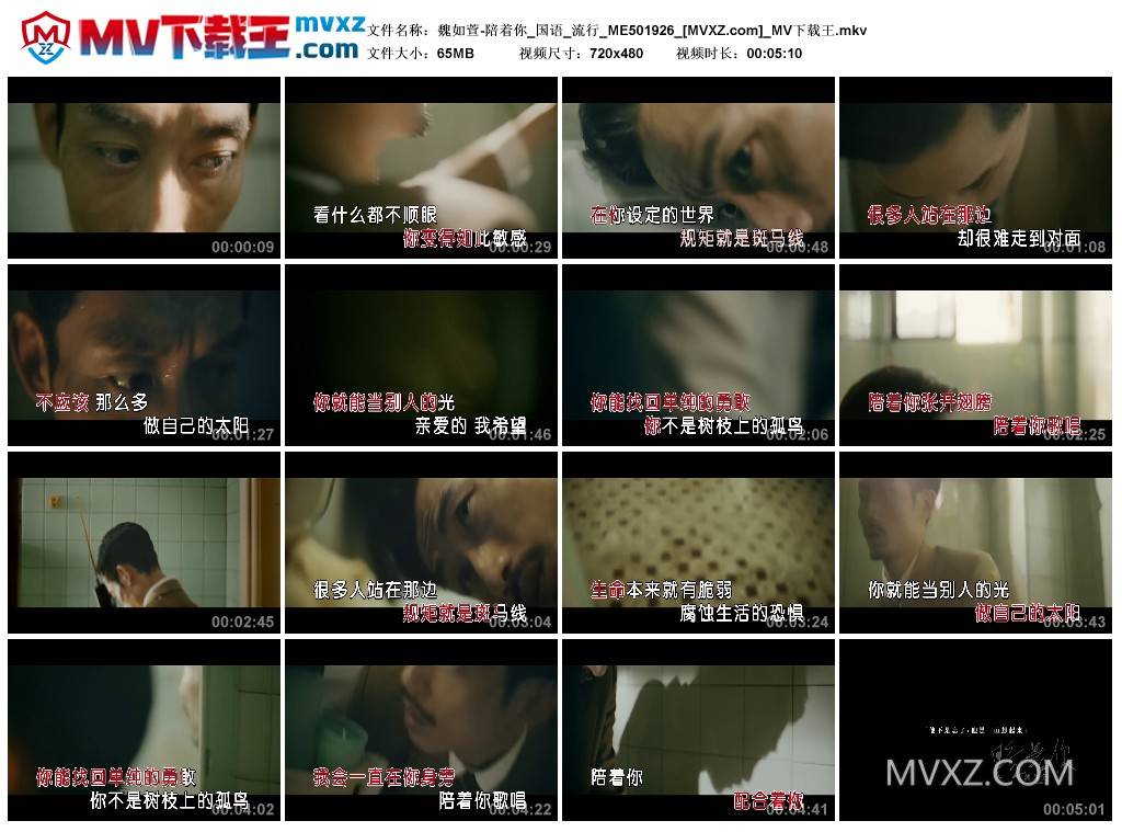 魏如萱-陪着你_国语_流行_ME501926